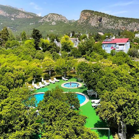Castle Park Hotel 贝尔迪比 外观 照片