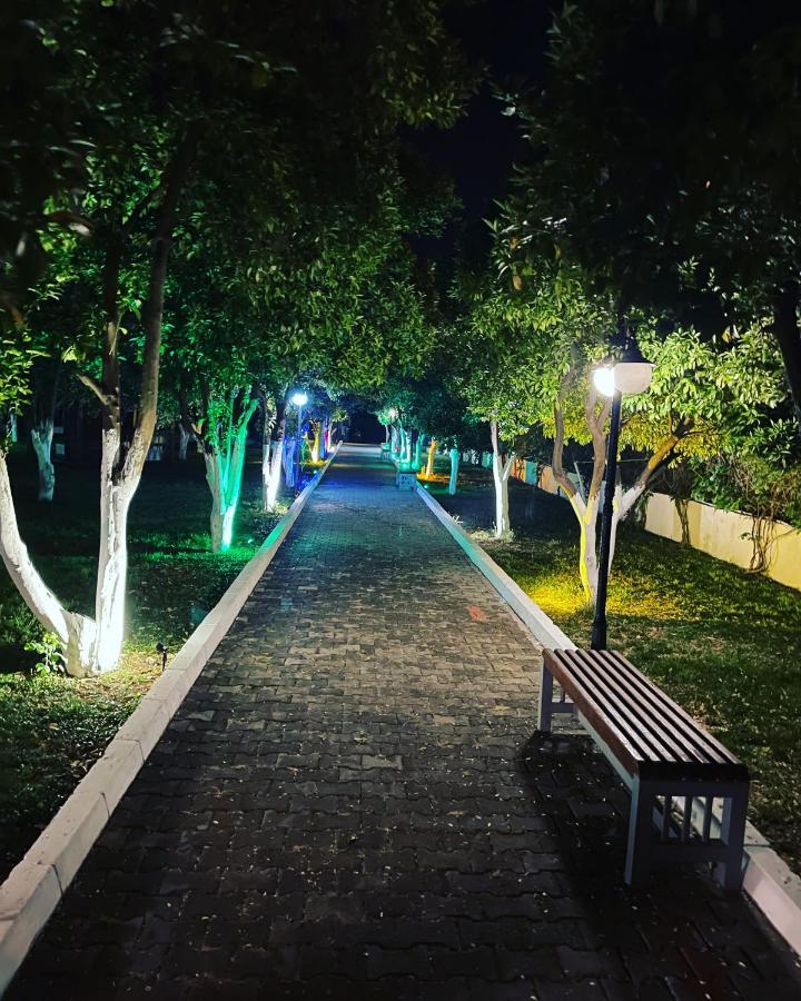 Castle Park Hotel 贝尔迪比 外观 照片
